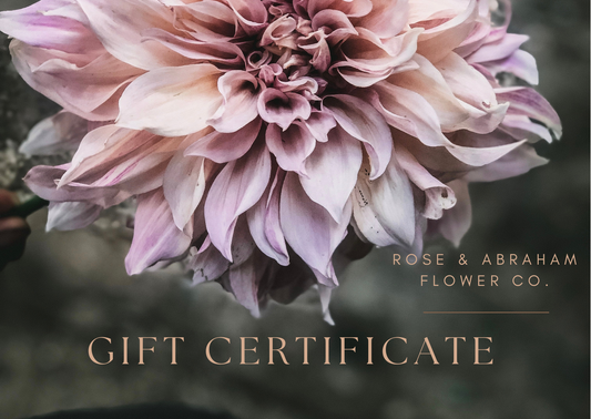 The Rose and Abraham Gift Certificate